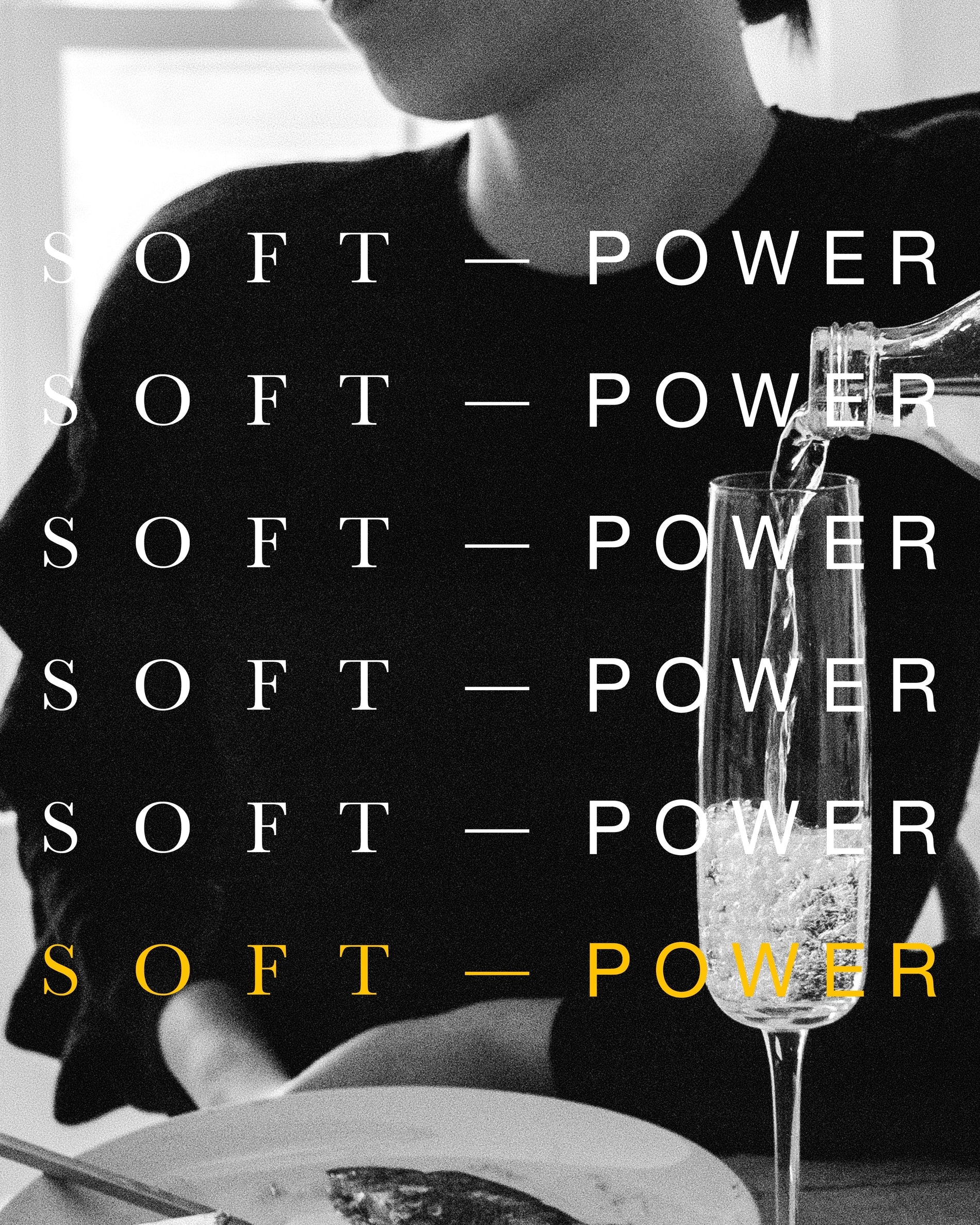 Introducing Soft–Power