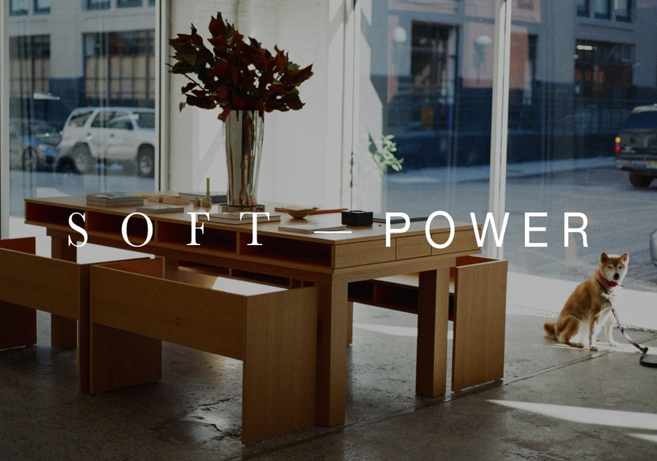 Introducing Soft–Power