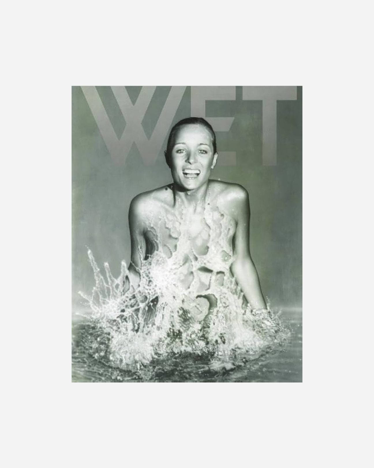 Making WET: The Magazine of Gourmet Bathing - Leonard Koren