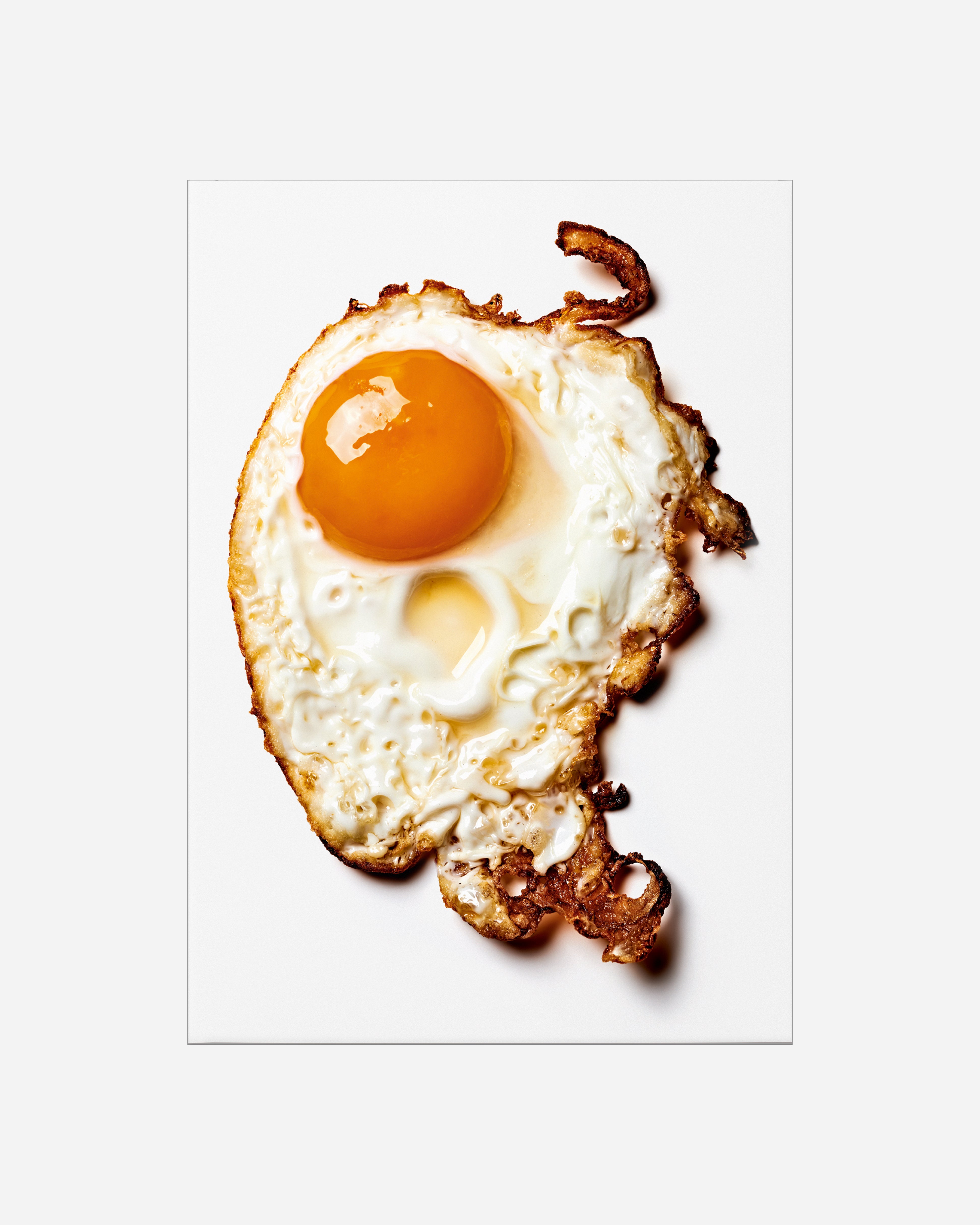 The Gourmand's Egg. A Collection of Stories & Recipes