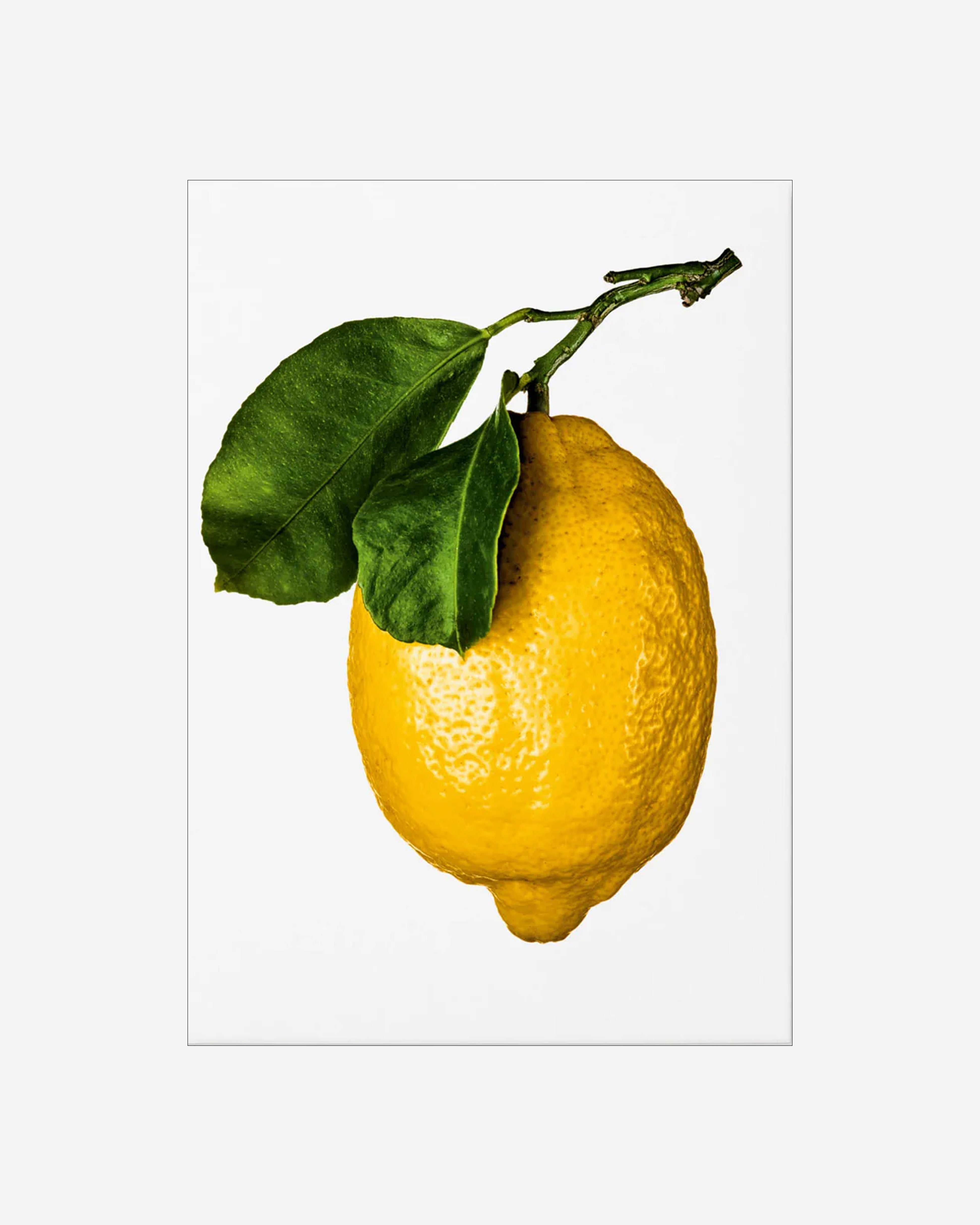 The Gourmand's Lemon. A Collection of Stories & Recipes